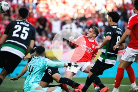 (VIDEO) Benfica y Sporting empataron, y título de Portugal se decidirá en la jornada final