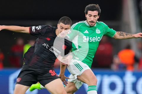 (VIDEO) Bayer Leverkusen rescató punto en casa ante Newcastle