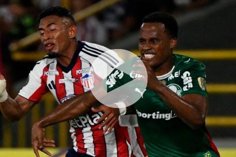 (VIDEO) Atención, Cristal: Junior y Palmeiras se repartieron los puntos en la Copa Libertadores
